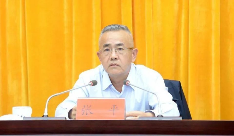 厅级干部张平被中央纪委查处