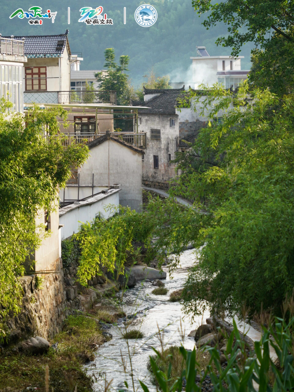 南方乡村风景图片图片