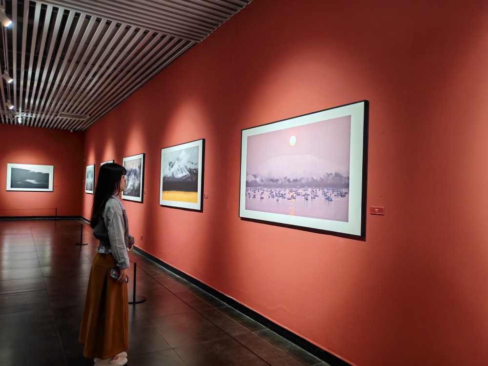 李自健美术馆开启摄影艺术展,"画意摄影"展现不一样的风采_腾讯新闻
