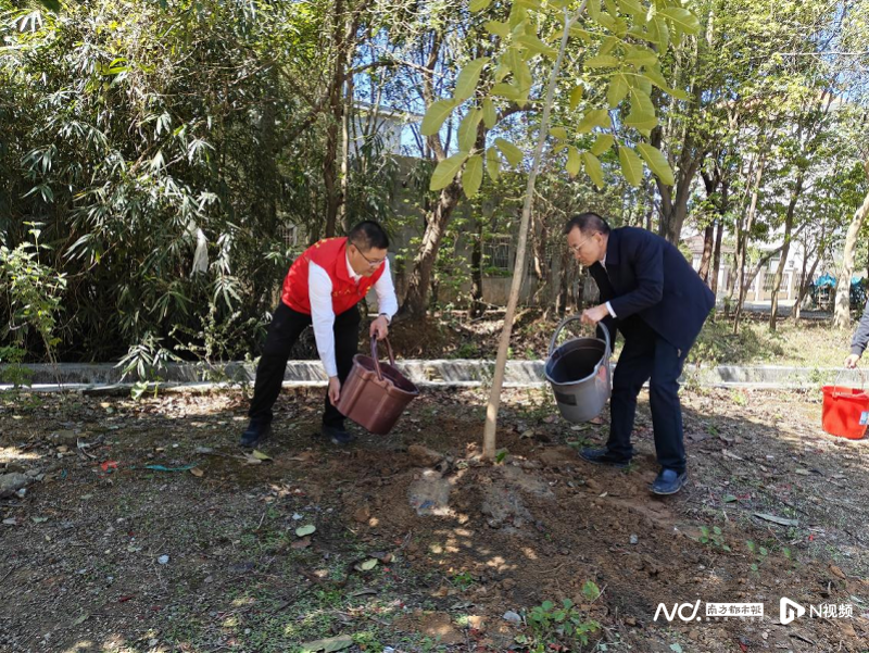 多措并举打造绿美生态,海丰县公平镇迈出坚实步伐_腾讯新闻