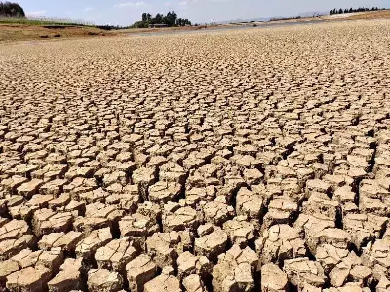 曲靖市陆良县水库水源枯竭淤泥皲裂无语凝噎云南省多地春耕逢严重干旱