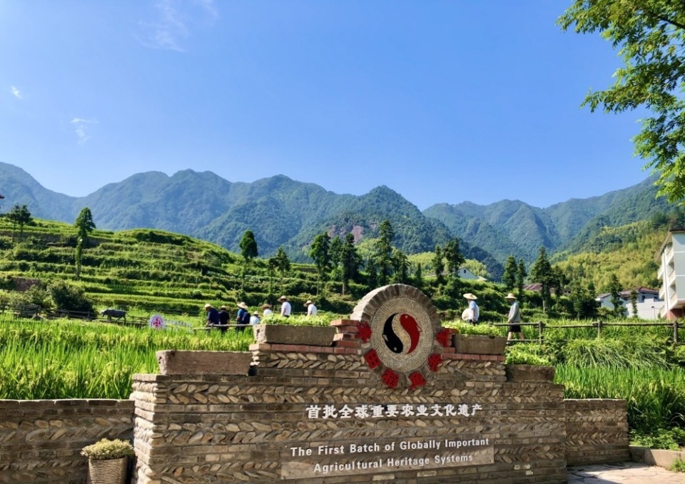 侨行天下:从"叶落归根"到"叶绿归根"