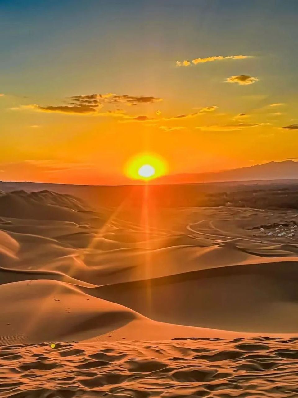 夕阳和沙漠共绘制一幅金黄橘红的无边画卷让我看看是谁已经蠢蠢欲动了