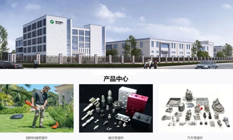 Fenglong Shares (002931) Limit-Up Analysis on January 2, 2026