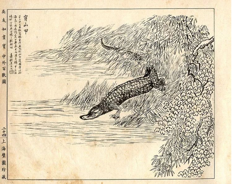 清末画家吴友如《中外百兽图》中的穿山甲再看这幅画,这是晚清著名