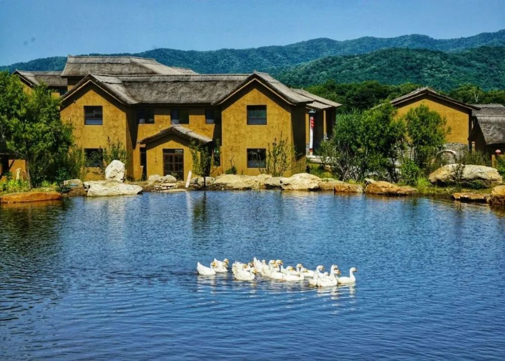 "五一"通化 春花里做神仙——龙湾湖畔 杜鹃花开_腾讯新闻