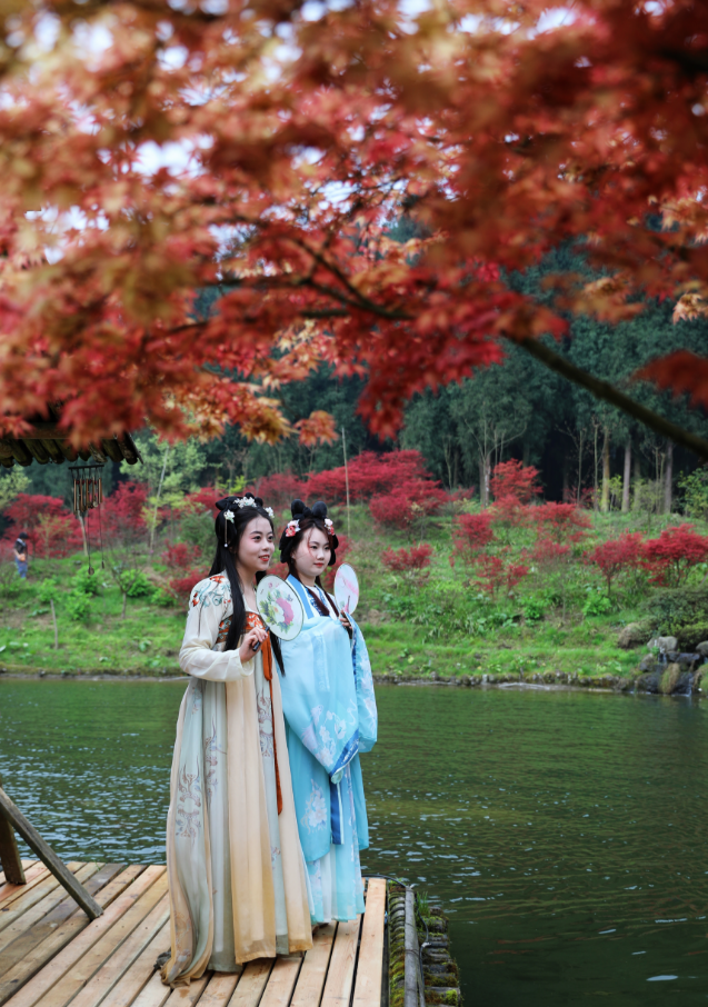 最美四月天,春日红枫俏!汉服小姐姐邀你共赏这场"汉服红枫行"!