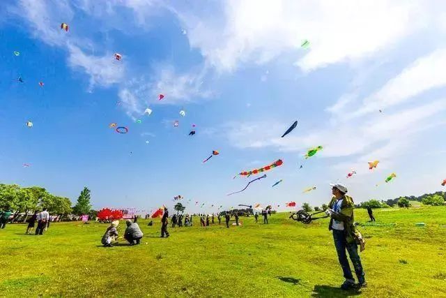 警惕这些放风筝的"雷区"_腾讯新闻