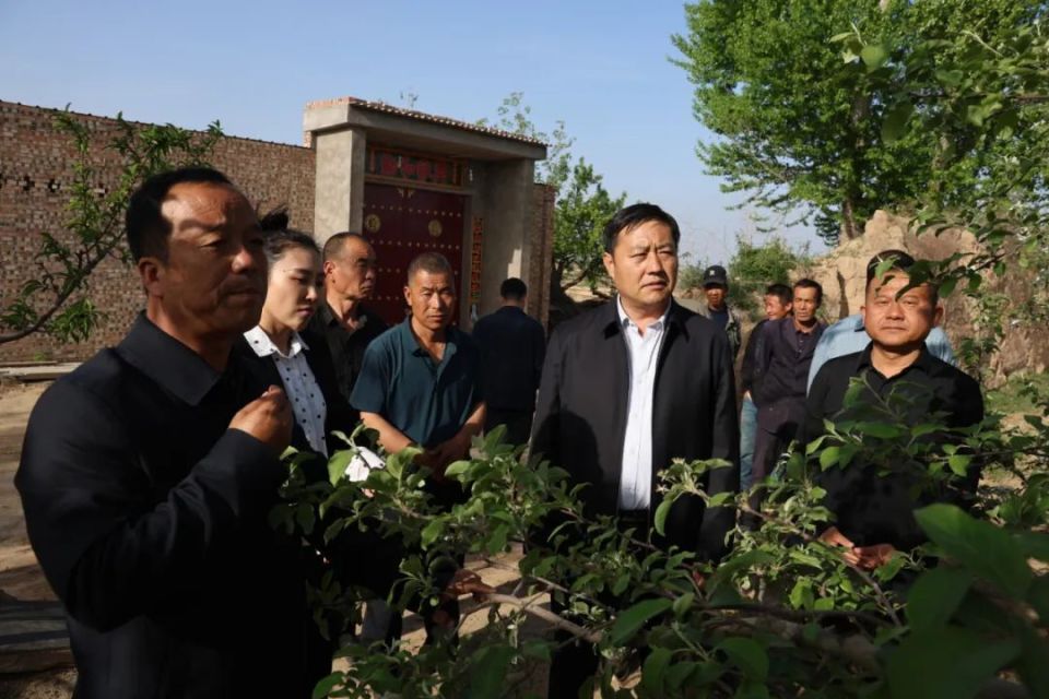 张晶调研各镇街当前重点工作开展情况