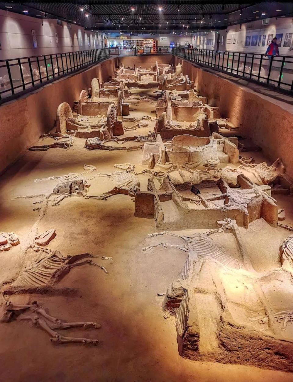 洛阳:城市就是一座博物馆