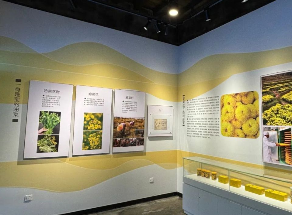 婺源又添"宝藏新馆"啦,有颜又有料!