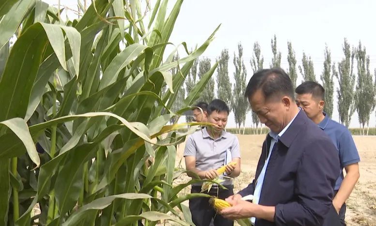 麦盖提县委书记陈强参加会议并讲话,县委副书记,县长阿迪力·哈斯木参