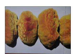 帝乡文学温景宽黄河千年清一回人类长寿启绵泽