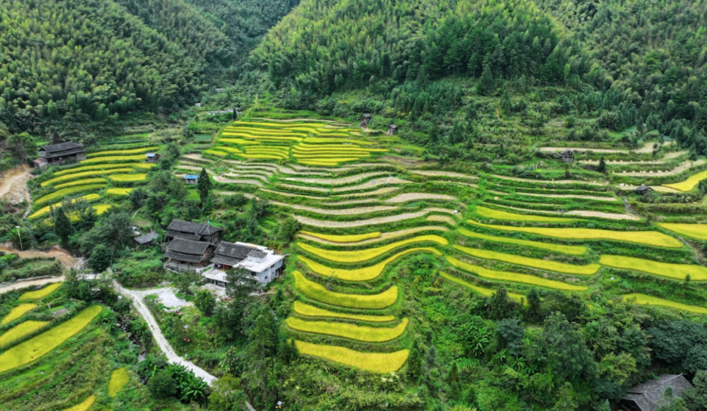 绥宁旅游景点排名榜图片