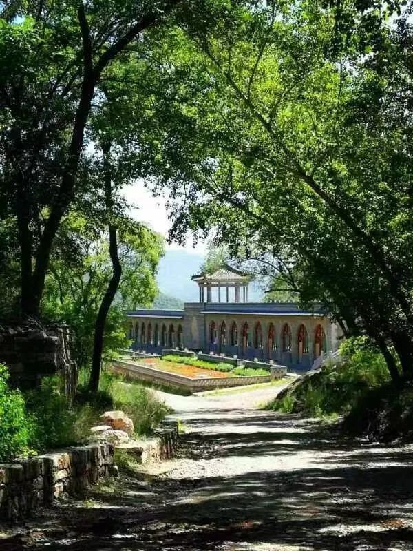 藏山翠谷是国家3a级景区,四季松柏翠绿,三季野花飘香,春季桃花遍野