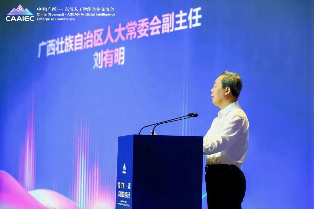 2025中国—东盟人工智能南宁大会圆满落幕 · 原文图片 2