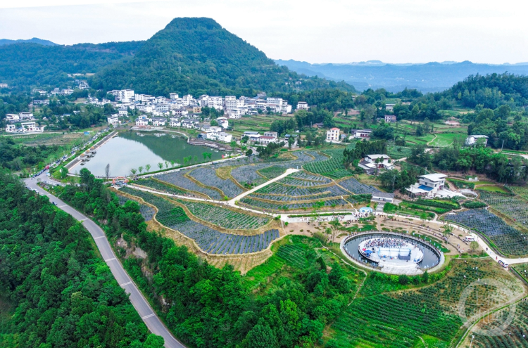 程聪 摄于四川通江初夏时节,位于大巴山腹地的四川省巴中市通江县的1