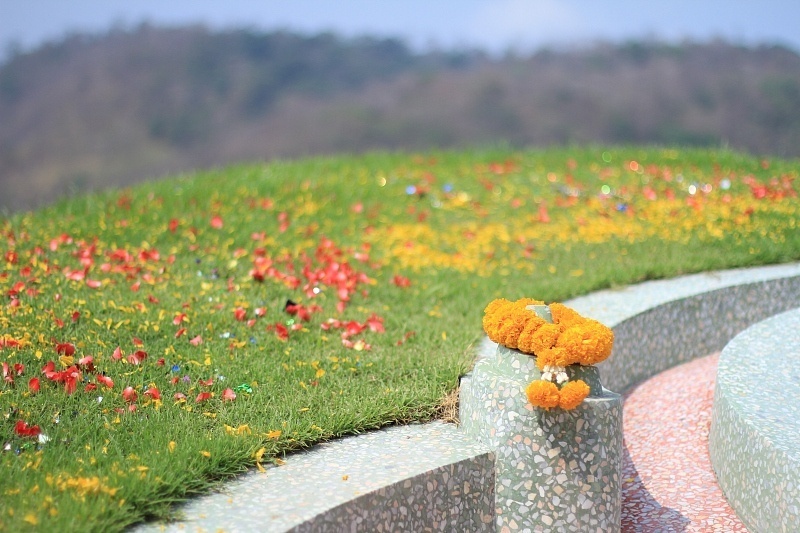 民政部国家林草局发文通知清明祭扫防范森林草原火灾多地推出代祭代扫