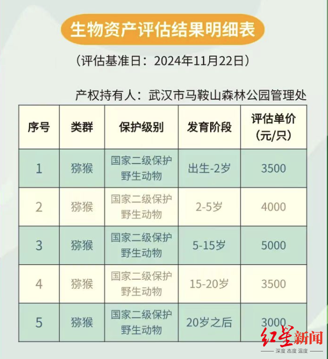 参考消息：管家婆天天好资料大全-武汉一森林公园公告出售20只猕猴引关注 园方：意在交流，只面向有资质的动物园