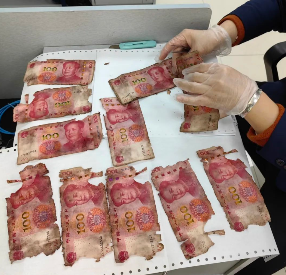老人将13万现金藏在墓地,1年后全"霉"了!人民币残缺,污损能兑换么?