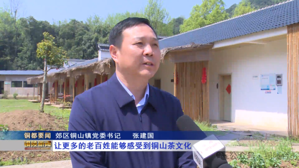 【春游江淮请您来】郊区铜山镇:茶区变景区 茶山变金山_腾讯新闻