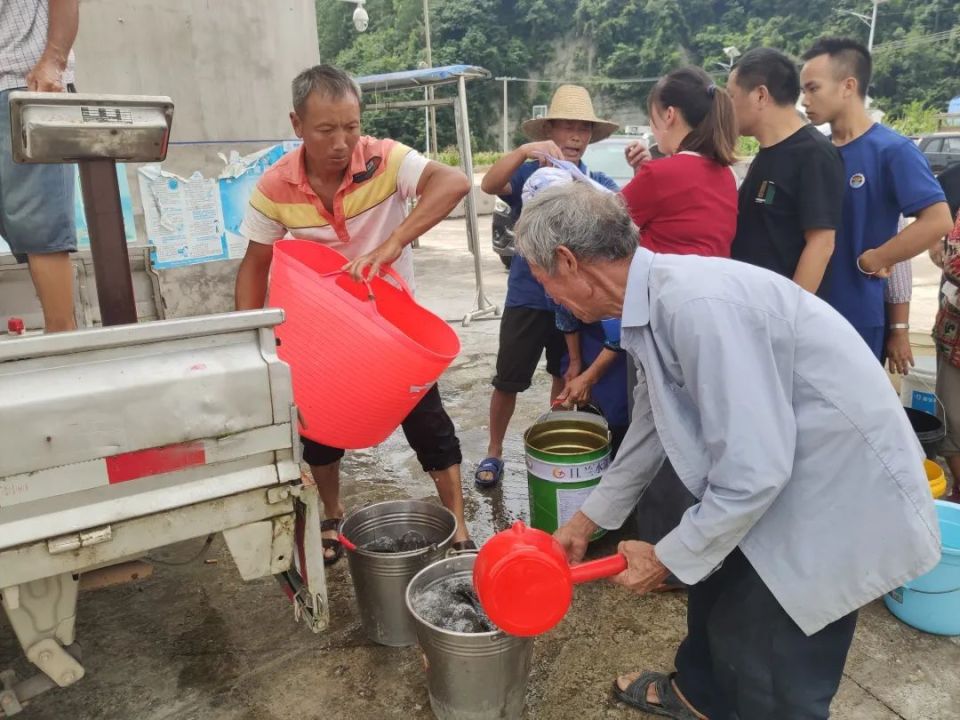 黄平县重安镇:鱼苗免费发放 促进百姓增收