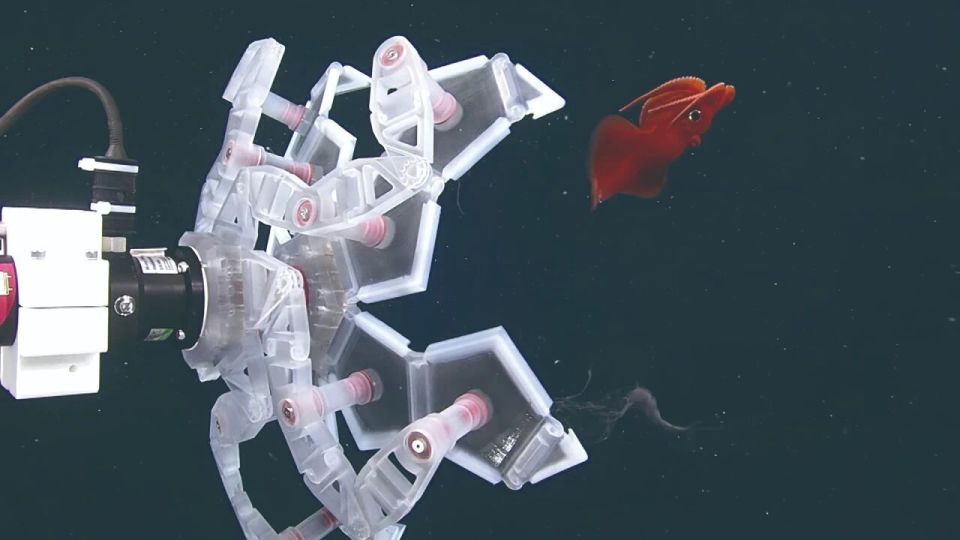 手术钳怎么拿折纸竟然可以如此高端！_https://www.jmylbn.com_新闻资讯_第3张