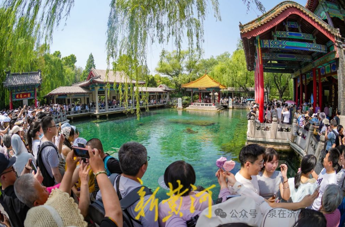 人人人人人人……济南这些打卡地,观泉,纳凉,赏花,挺火热