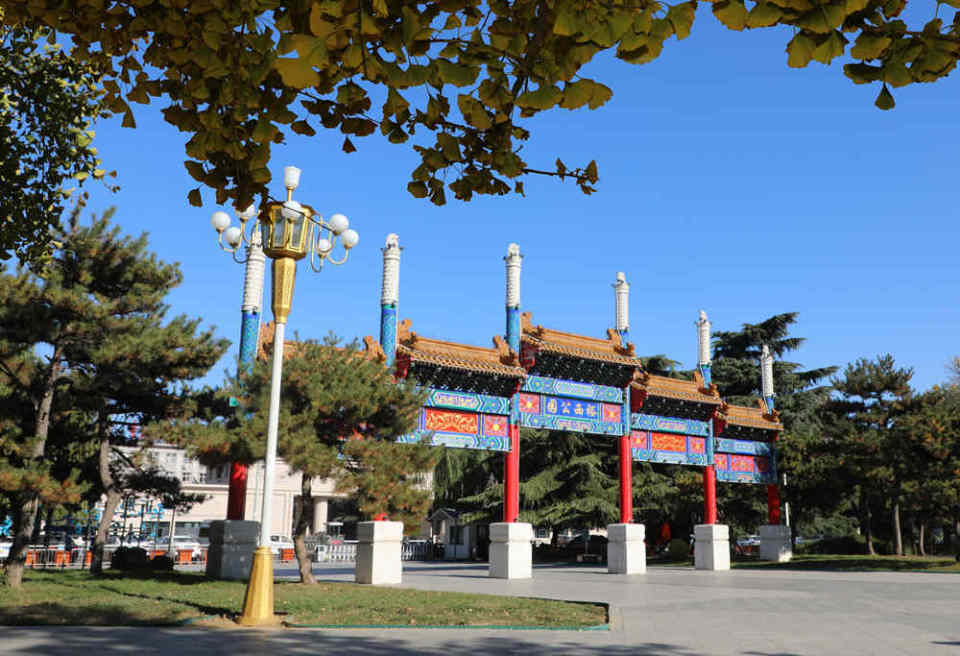 石家庄市桥西区:银杏染初冬 金黄入画来_腾讯新闻