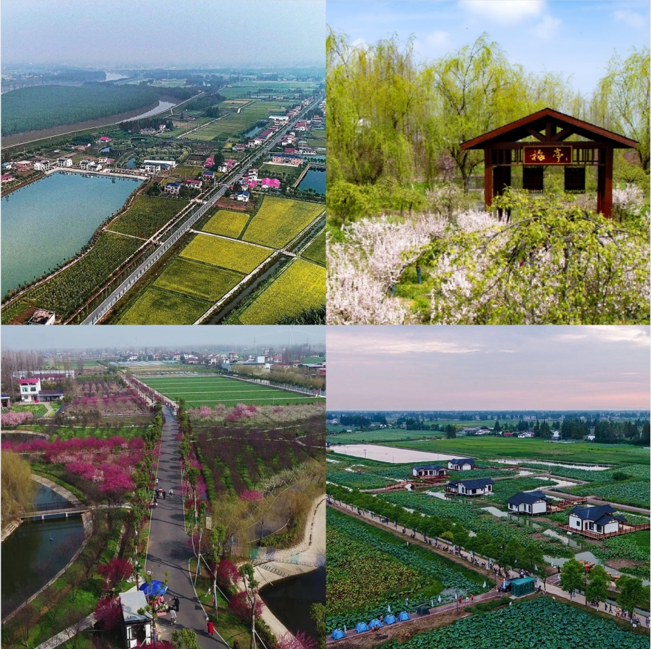 端午安康 "粽"情常德 | 常德端午假期文旅惠民活动抢先看!