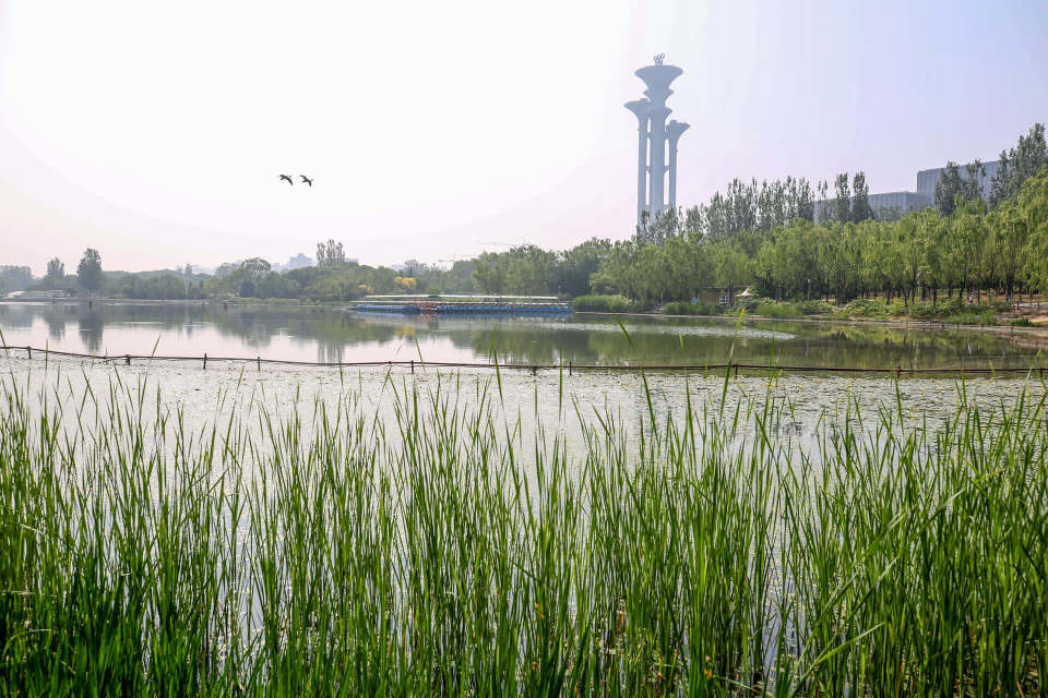 朝阳八大商业综合体今年建成开业,奥森公园将启动升级改造