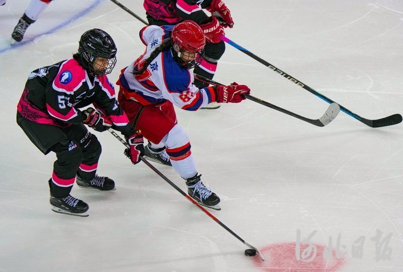 聚焦"十四冬"丨青年组女子冰球开赛 河北队首战不敌北京队