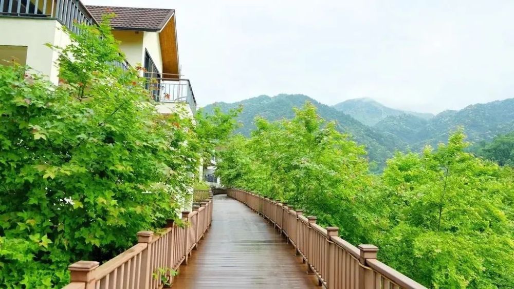江西文旅一卡通新增景区|大余丫山(4a景区)持一卡通来这洗肺吧_腾讯