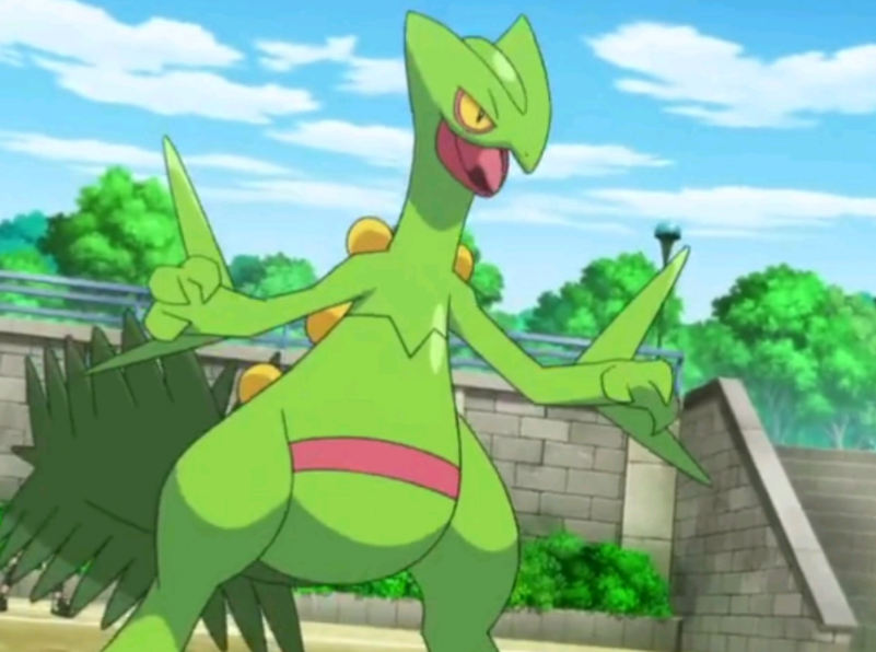 口袋妖怪小智持有的宝可梦中的实力top5皮神毫无疑问是最强的