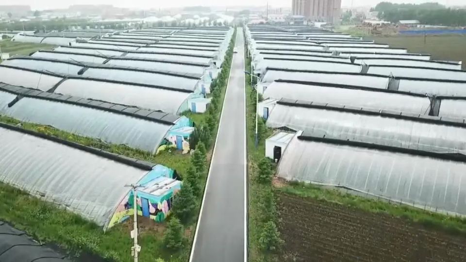 公主岭市怀德镇三里堡子村驻村"第一书记"张弢:付真情帮扶助力 携手共