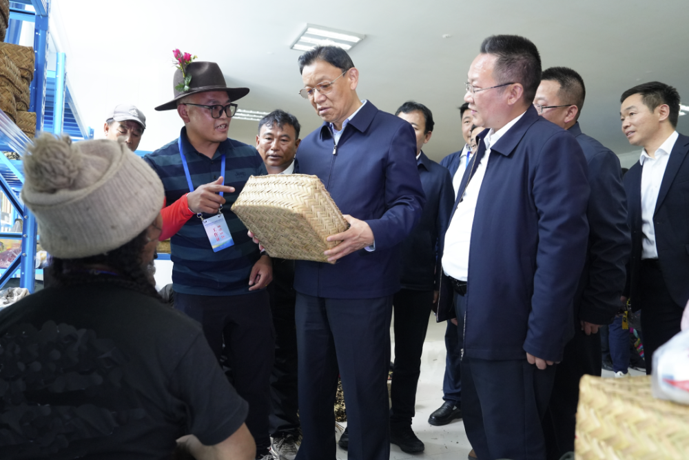 斯朗尼玛在定结县陈塘镇调研