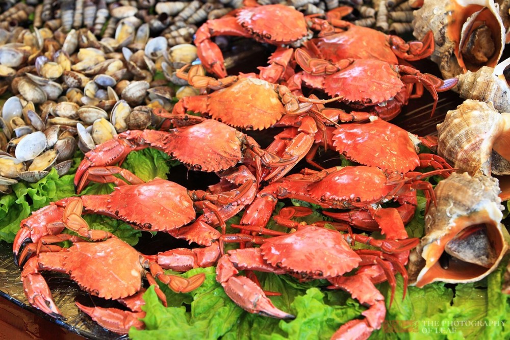 山东威海一桌海鲜2200元十个人吃不完有人说只值1000块你觉得呢