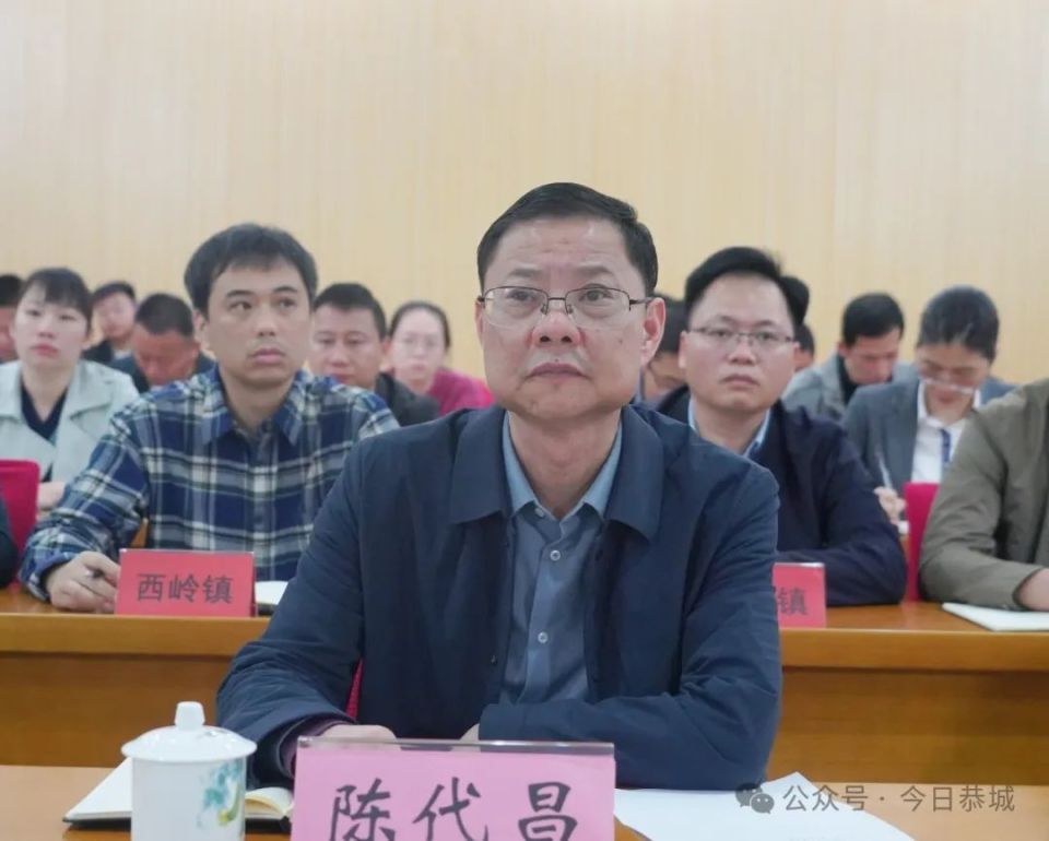 收听收看2024年全区河湖长制暨总河长工作电视电话会议,县领导陈代昌