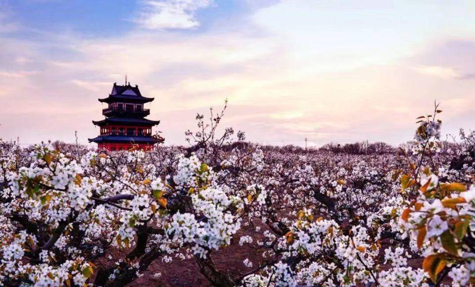 江苏省四星级乡村旅游景点,江苏省自驾游基地,盐城市首批风景名胜区