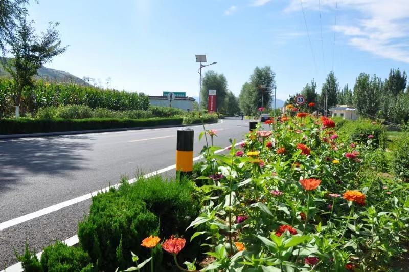 雪松,紫叶李及多种花草点缀的多层绿化模式,加大对重点农村公路的绿化