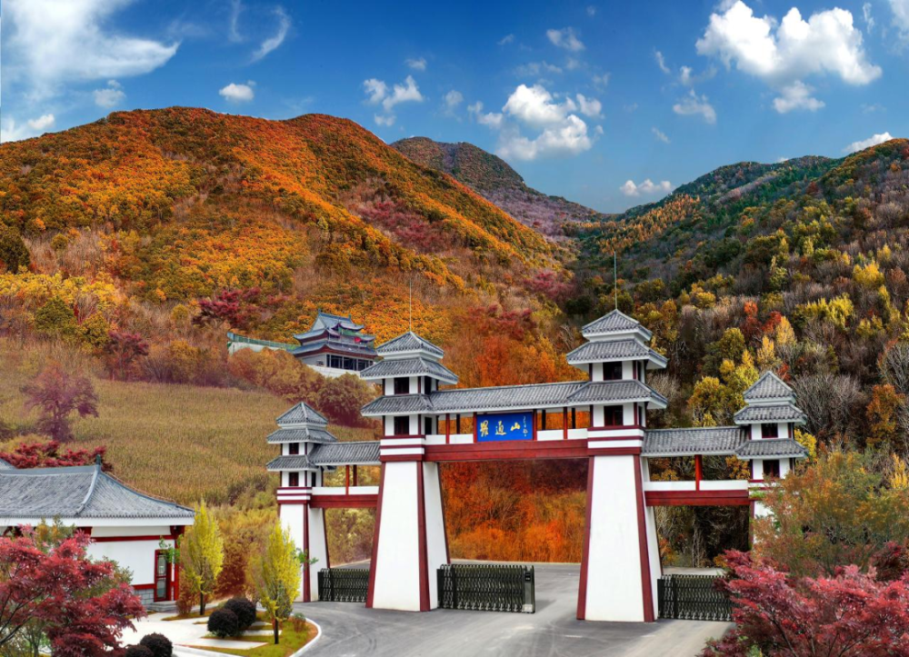 你知道罗通山四大怪吗?小吉带你去瞧瞧