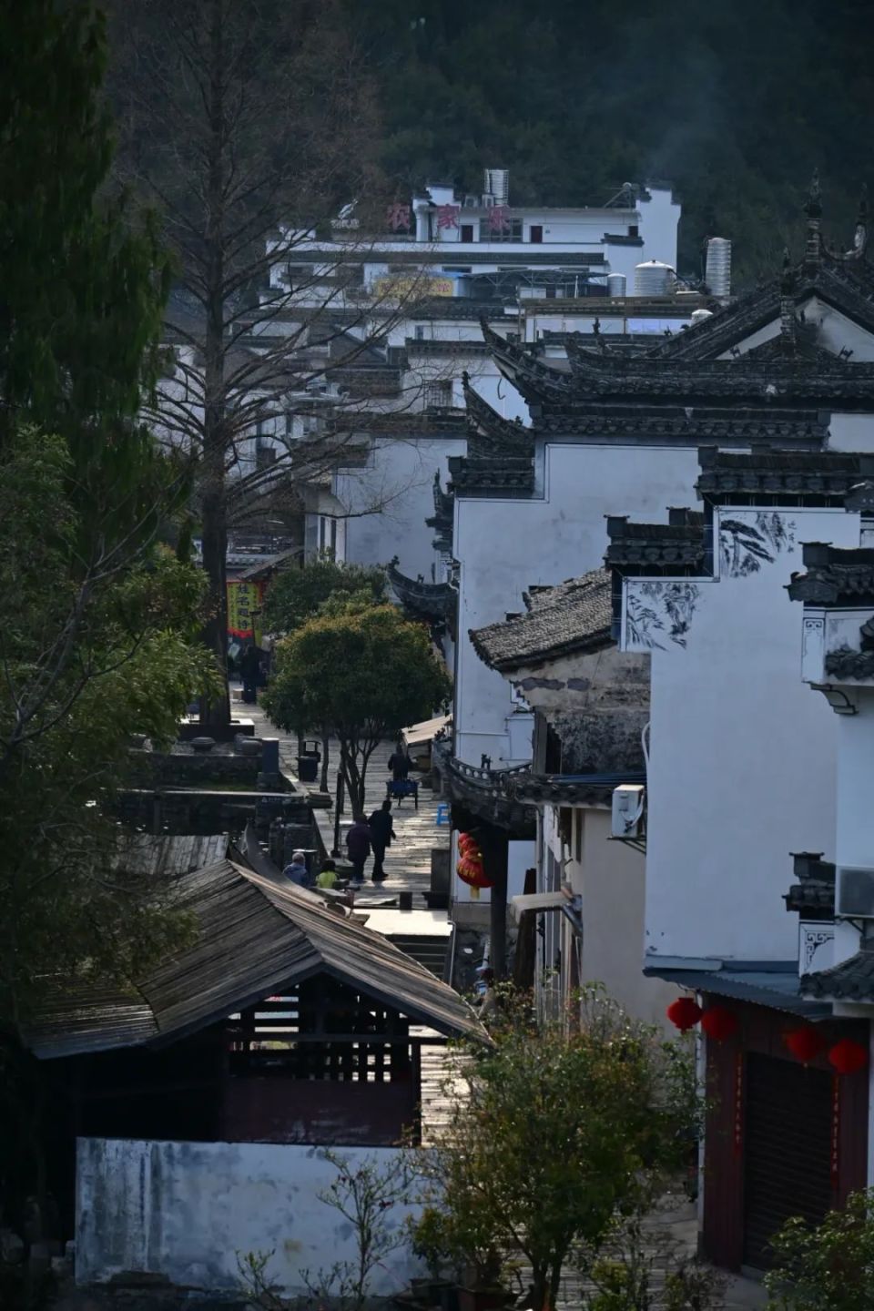 春游江淮春眠1元住民宿get绩溪瀛洲镇短视频征集大赛开始啦