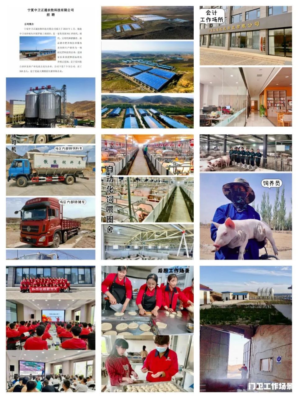 紧急招聘！中卫这几家单位岗位有空缺，快来查看！-腾讯新闻