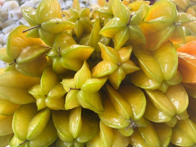 玉溪元江150余亩杨桃丰收啦