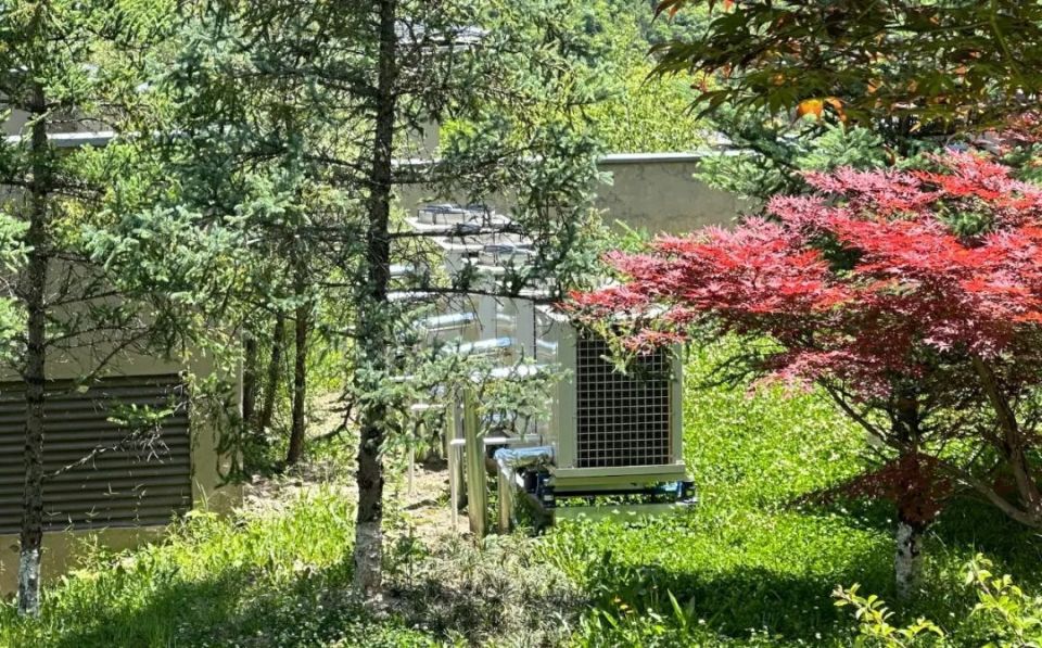 把esg当战略,希尔顿是怎么设计业务系统的?|碳案