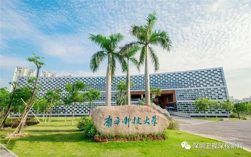 没有"985""211"的深圳,为什么能有两所高校入选"101计划"?