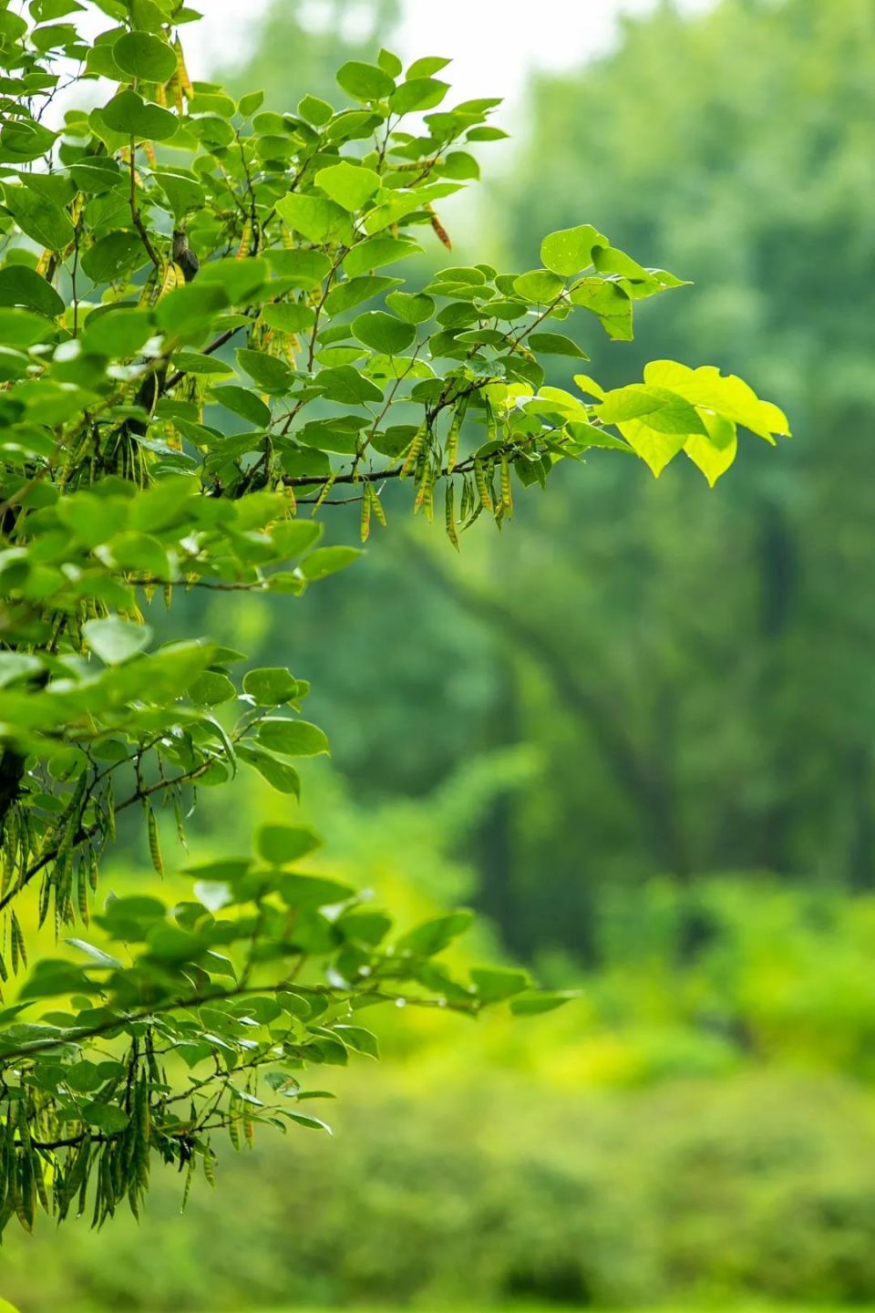秋高气爽赏滨城丨漫步泰丰公园 尽享秋日惬意时光