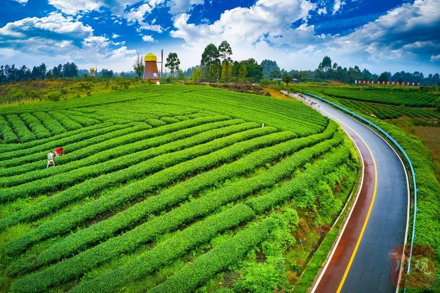 雅安市名山区被评为"四好农村路"全国示范县_腾讯新闻