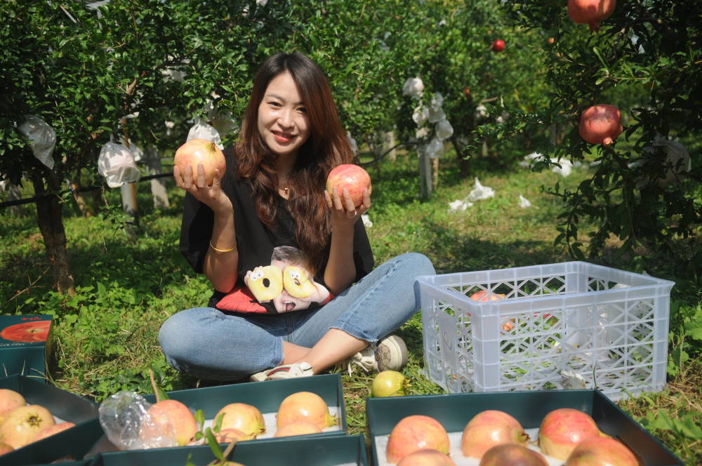 齐鲁最美青年|张锦超:随父上山种石榴 十年付出把荒山变青山_腾讯新闻