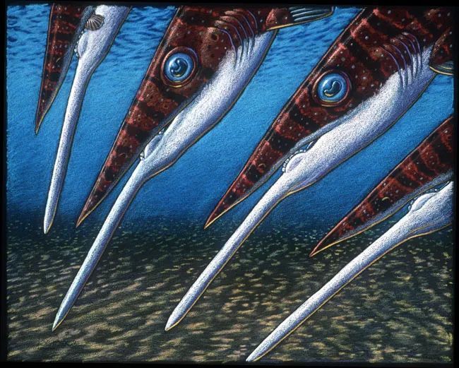 【史前海怪】泥盆纪怪鱼下巴如同长矛!